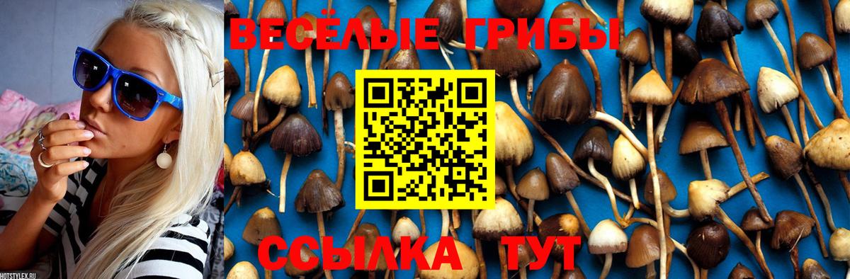 Галлюциногенные грибы MAGIC MUSHROOMS  где найти   Горно-Алтайск  Псилоцибиновые грибы Cubensis  Вход с VPN 